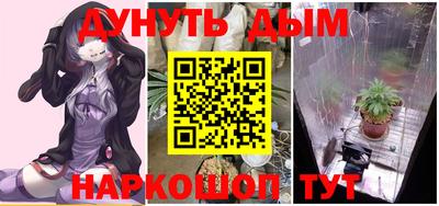 Альфа ПВП Нальчик