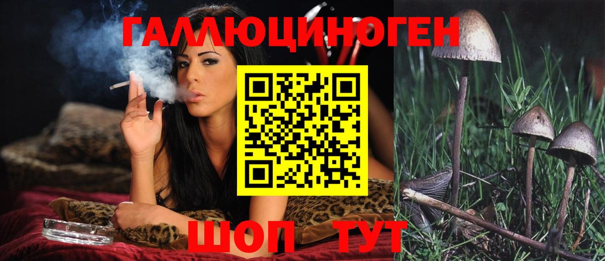 закладки  Вход с VPN  Воркута  Псилоцибиновые грибы GOLDEN TEACHER 