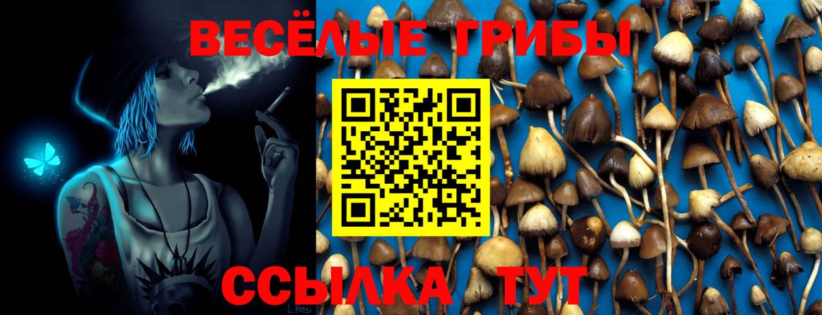Псилоцибиновые грибы GOLDEN TEACHER Воркута